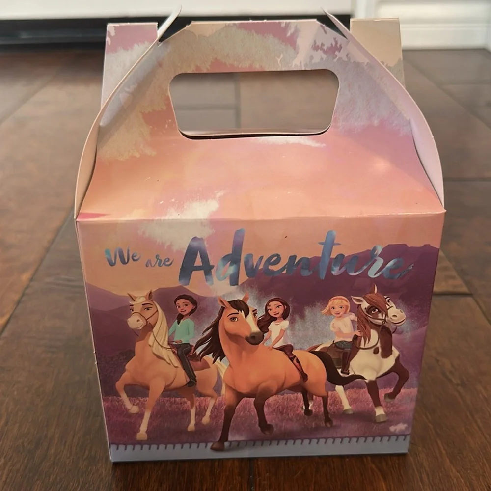 Set of 4 Dreamworks Spirit Party Favor Boxes